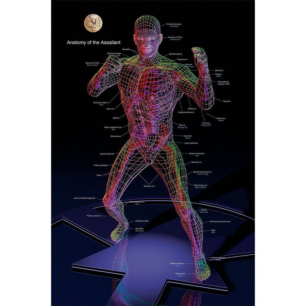ASP handcuff anatomy chart
