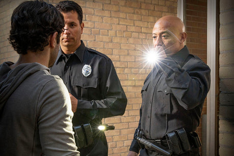 The 3 D’s of Defensive Tactics : Distract, Disorient, Disable